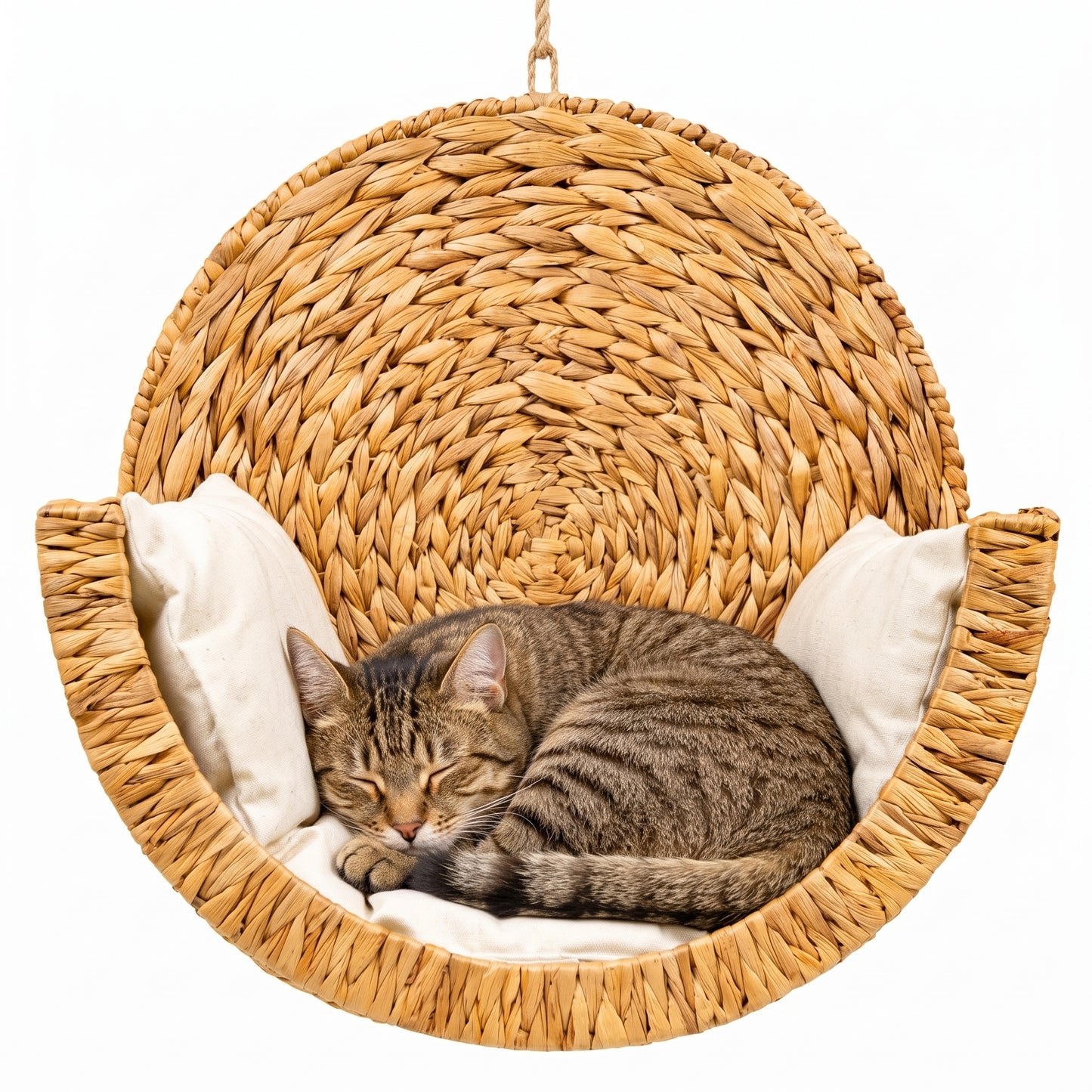 CatNest handwoven wicker hanging cat bed studio photo